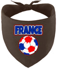 Load image into Gallery viewer, France Soccer Pet Bandana