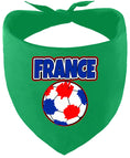 Load image into Gallery viewer, France Soccer Pet Bandana