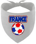 Load image into Gallery viewer, France Soccer Pet Bandana