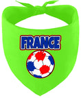 Load image into Gallery viewer, France Soccer Pet Bandana