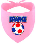 Load image into Gallery viewer, France Soccer Pet Bandana