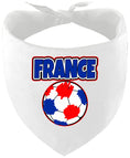 Load image into Gallery viewer, France Soccer Pet Bandana