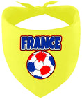 Load image into Gallery viewer, France Soccer Pet Bandana