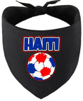 Load image into Gallery viewer, Haiti Soccer Pet Bandana