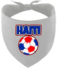 Load image into Gallery viewer, Haiti Soccer Pet Bandana