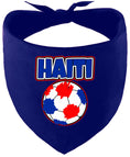 Load image into Gallery viewer, Haiti Soccer Pet Bandana
