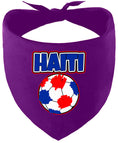 Load image into Gallery viewer, Haiti Soccer Pet Bandana