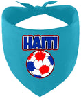 Load image into Gallery viewer, Haiti Soccer Pet Bandana