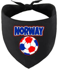 Load image into Gallery viewer, Norway Soccer Pet Bandana