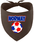 Load image into Gallery viewer, Norway Soccer Pet Bandana