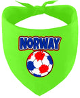 Load image into Gallery viewer, Norway Soccer Pet Bandana