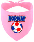 Load image into Gallery viewer, Norway Soccer Pet Bandana