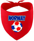 Load image into Gallery viewer, Norway Soccer Pet Bandana