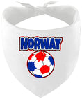 Load image into Gallery viewer, Norway Soccer Pet Bandana