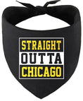 Load image into Gallery viewer, Straight Outta Chicago Pet Bandana