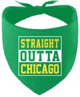 Load image into Gallery viewer, Straight Outta Chicago Pet Bandana