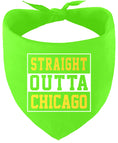 Load image into Gallery viewer, Straight Outta Chicago Pet Bandana