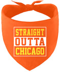 Load image into Gallery viewer, Straight Outta Chicago Pet Bandana