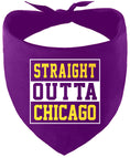 Load image into Gallery viewer, Straight Outta Chicago Pet Bandana