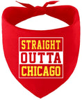 Load image into Gallery viewer, Straight Outta Chicago Pet Bandana