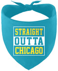 Load image into Gallery viewer, Straight Outta Chicago Pet Bandana