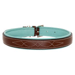 ExionPro Fancy Stitched Padded Leather Dog Collar - Sky Blue Padding