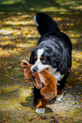 Load image into Gallery viewer, Maple Moose X-Brace™ Durable Plush Dog Toy - image 11