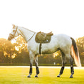 Load image into Gallery viewer, B&W - Black Saddle Pad