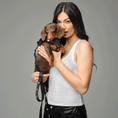 Load image into Gallery viewer, DOGISTRY 3-in-1 City Dog Leash - Rockstar