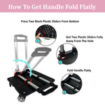 Mr. Peanut's Pet Carrier/Luggage Bag Spinner Wheelbase Luggage Cart