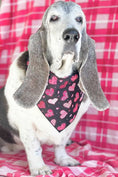 Load image into Gallery viewer, Valentine Bandana | Valentines Day Bandana | Red Hearts Valentine Dog Bandana - Southlake Paws