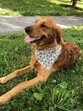 Load image into Gallery viewer, Floral Bandana, Flower Bandana, Tie Dog Bandana | Spring Bandana | Sunflower Bandana - Southlake Paws