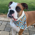 Load image into Gallery viewer, Floral Bandana, Flower Bandana, Tie Dog Bandana | Spring Bandana | Sunflower Bandana - Southlake Paws