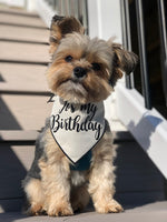 Birthday Bandana, Dog Birthday | Birthday Dog Bandana | Happy Birthday Bandana, It's My Birthday | Party Bandana