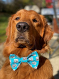 Load image into Gallery viewer, Birthday Bow Tie | Birthday Boy Dog Birthday | Birthday Dog Bow Tie | Birthday Boy - Southlake Paws