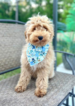 Spring, Spring Bandana, Floral Bandana, Flower Bandana, Tie Dog Bandana | Summer Bandana