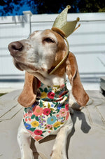 Spring, Spring Bandana, Floral Bandana, Flower Bandana, Summer Dog Bandana