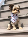 Load image into Gallery viewer, Summer Crab Bandana | Nautical Bandana | Summer Bandana | Beach Bandana | Seafood Bandana | Maryland Crab - Southlake Paws