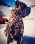 Load image into Gallery viewer, The "Aztec" big dogs harness BROWN