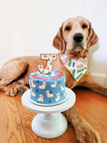 Load image into Gallery viewer, Birthday Bandana | First Birthday | Birthday Dog Bandana | Happy Birthday Bandana | Birthday Girl | 1st Birthday