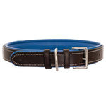 ExionPro Silver Snaffle Padded Leather Dog Collar - Blue Padding