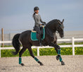Load image into Gallery viewer, Teal Saddle Pad Set