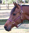 Load image into Gallery viewer, GHC Triple Stitch Halter
