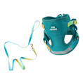 Load image into Gallery viewer, Joey Cat Harness & Leash Set