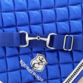 Load image into Gallery viewer, Majorelle Blue Elastic Equestrian Belt