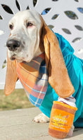 Load image into Gallery viewer, Flannel Dog Bandana, Plaid Bandana, Fall Bandana, High Quality Fabric, Blue, Orange