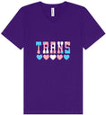 Load image into Gallery viewer, Trans Unisex V-Neck Shirt