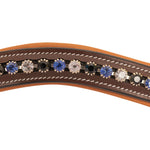ExionPro Elegant, Attractive Blue, Black & Alternative Clear Crystal Browband