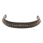 ExionPro Montana Blue Crystal Browband