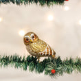 Load image into Gallery viewer, Pygmy Owl Ornament - Southlake Paws
